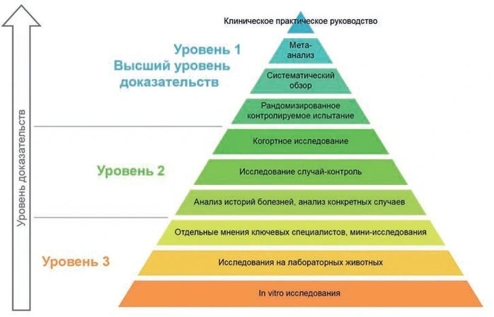 Доказательная нутрициология: в чем суть и преимущества