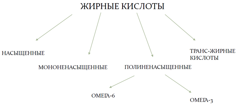 Виды жирных кислот